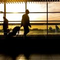 How to Stay Healthy While Traveling Abroad