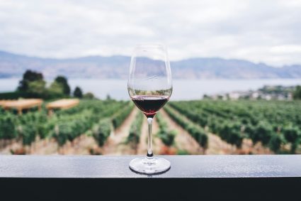 Natural & Biodynamic Wines: Why High-End Cellars Are Embracing Low-Intervention Bottles
