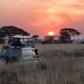 Golden sunset across the African savannah with acacia trees and elegant luxury safari tent