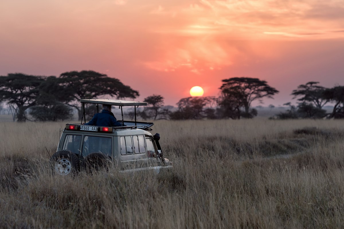 Golden sunset across the African savannah with acacia trees and elegant luxury safari tent